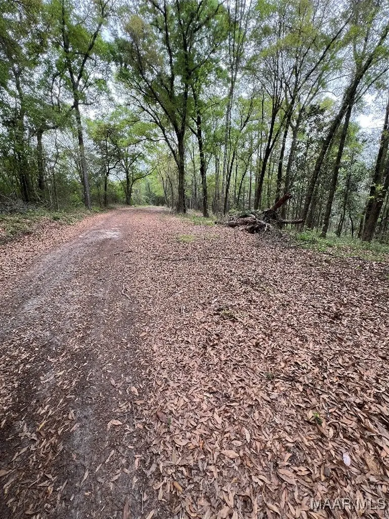 0 Driftwood Lane Andalusia AL 36421