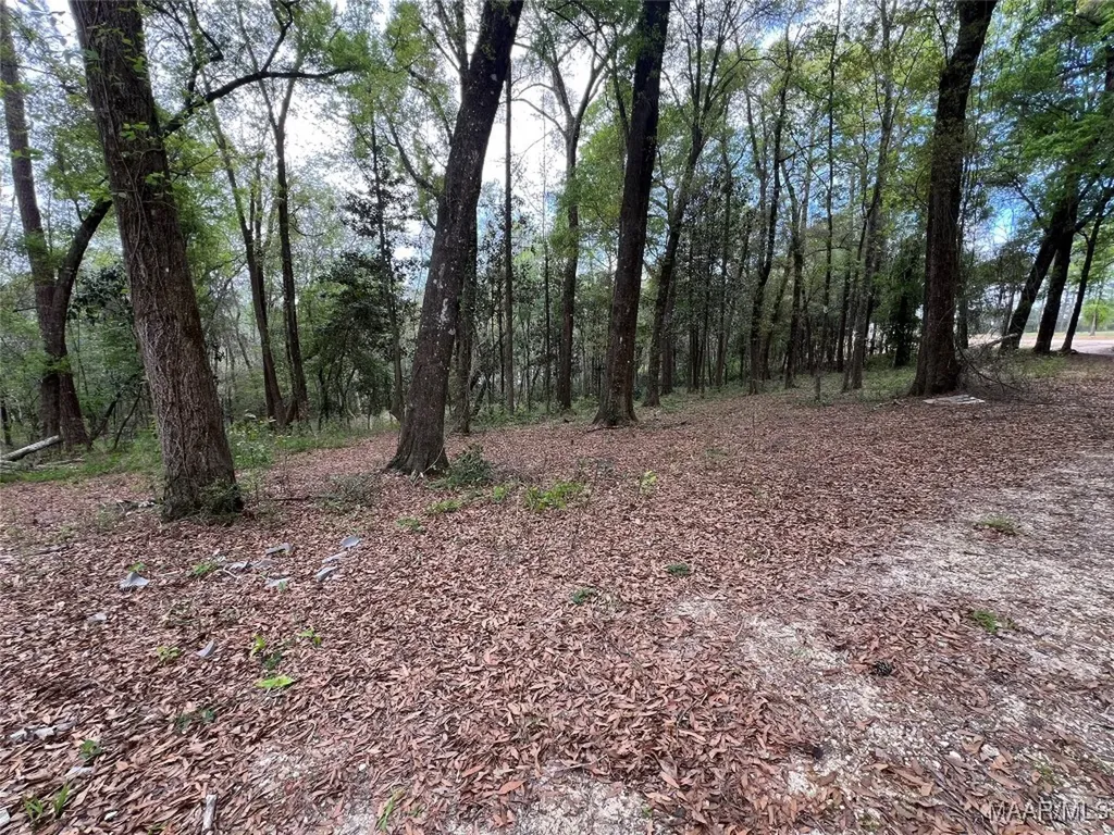 0 Driftwood Lane Andalusia AL 36421
