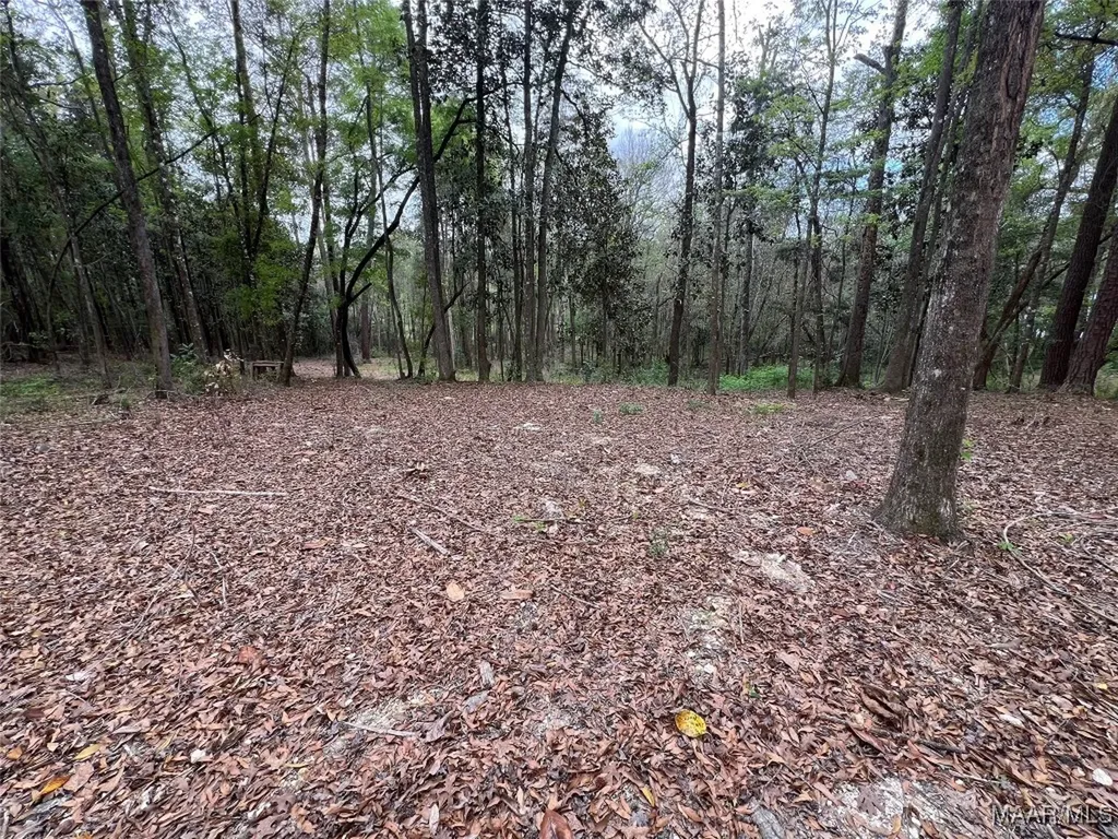 0 Driftwood Lane Andalusia AL 36421