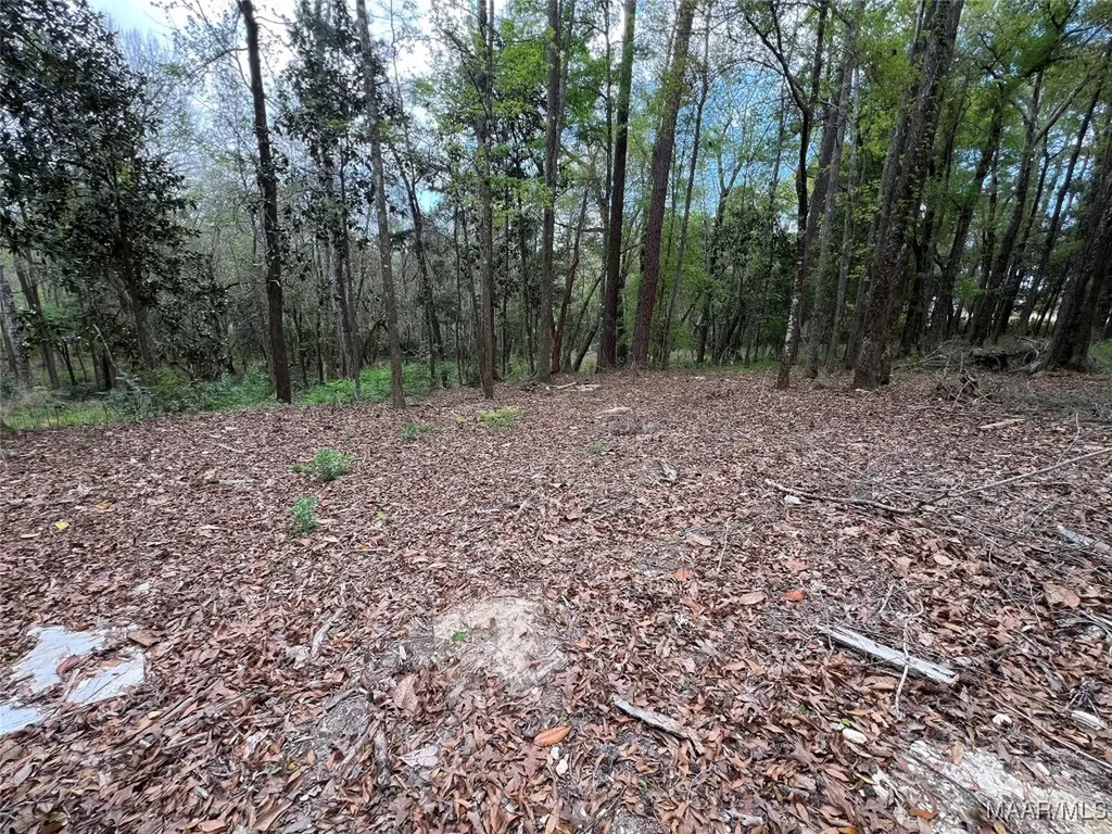 0 Driftwood Lane Andalusia AL 36421