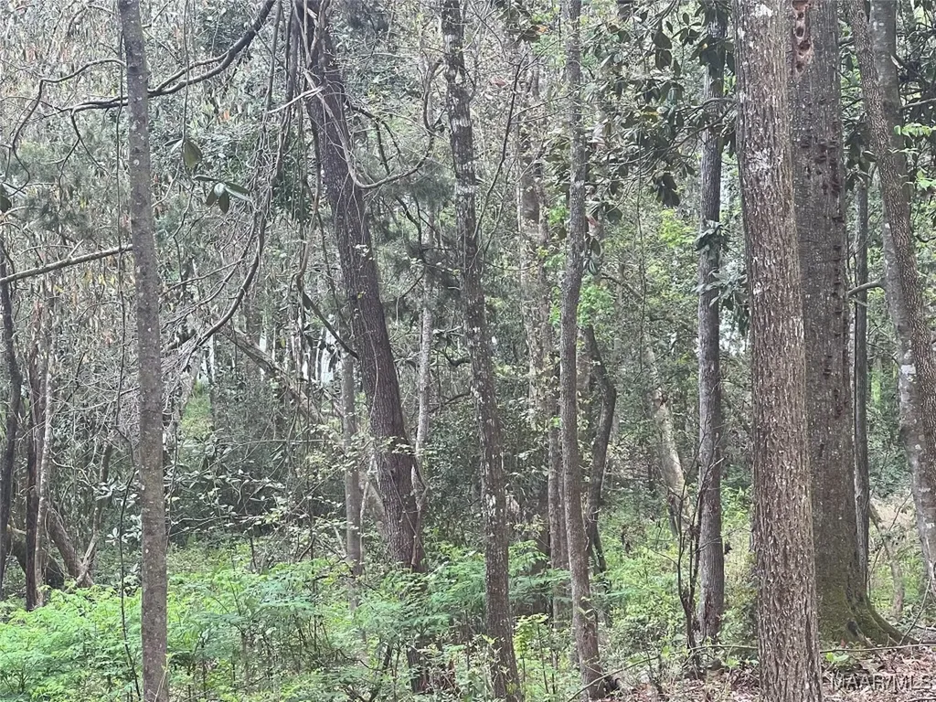 0 Driftwood Lane Andalusia AL 36421