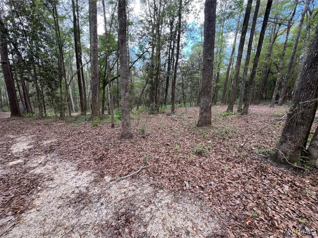 0 Driftwood Lane Andalusia AL 36421