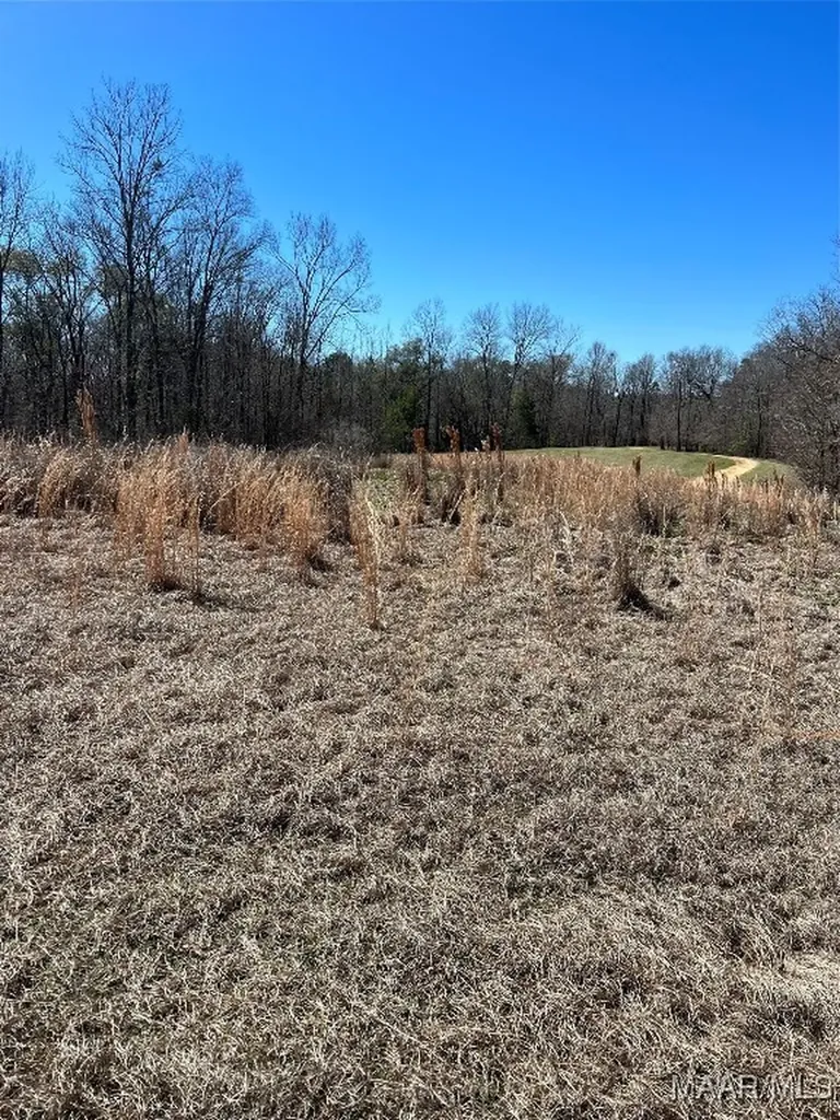 49 Legacy Shores Camden AL 36720