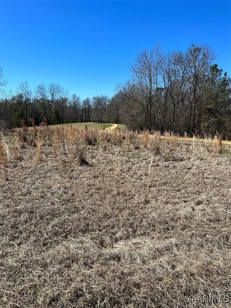 49 Legacy Shores Camden AL 36720