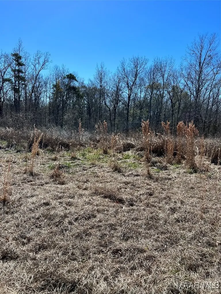 49 Legacy Shores Camden AL 36720