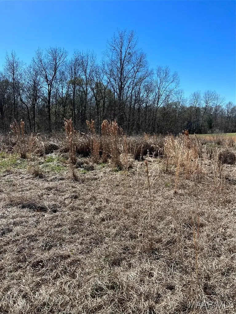 49 Legacy Shores Camden AL 36720