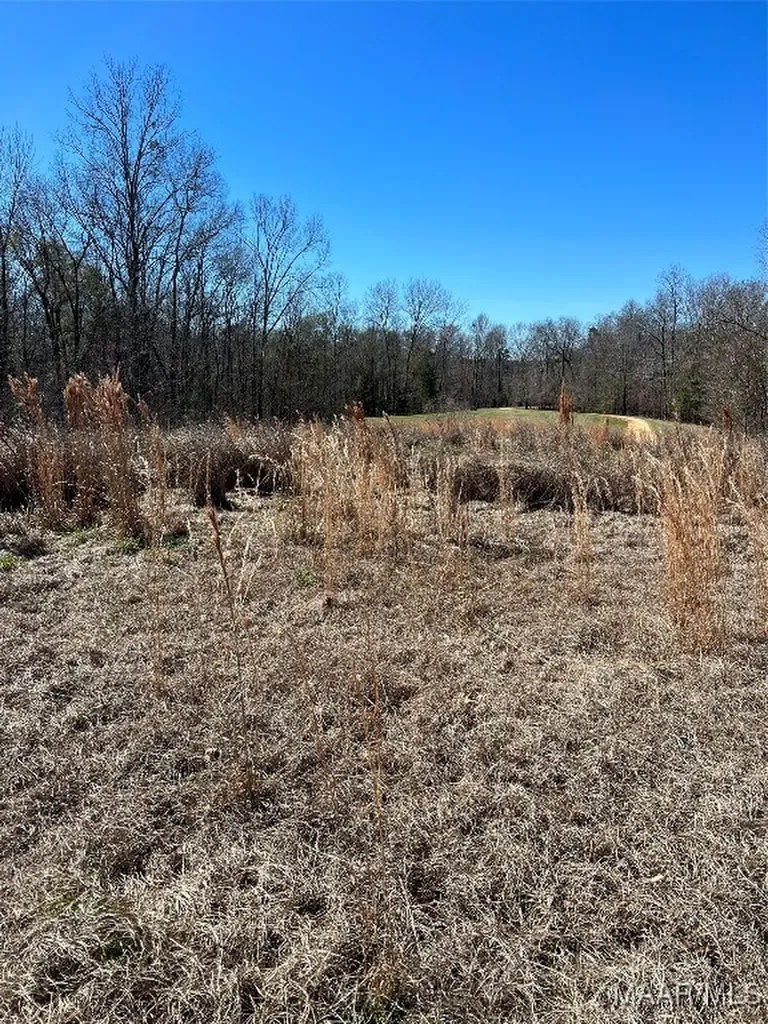 49 Legacy Shores Camden AL 36720