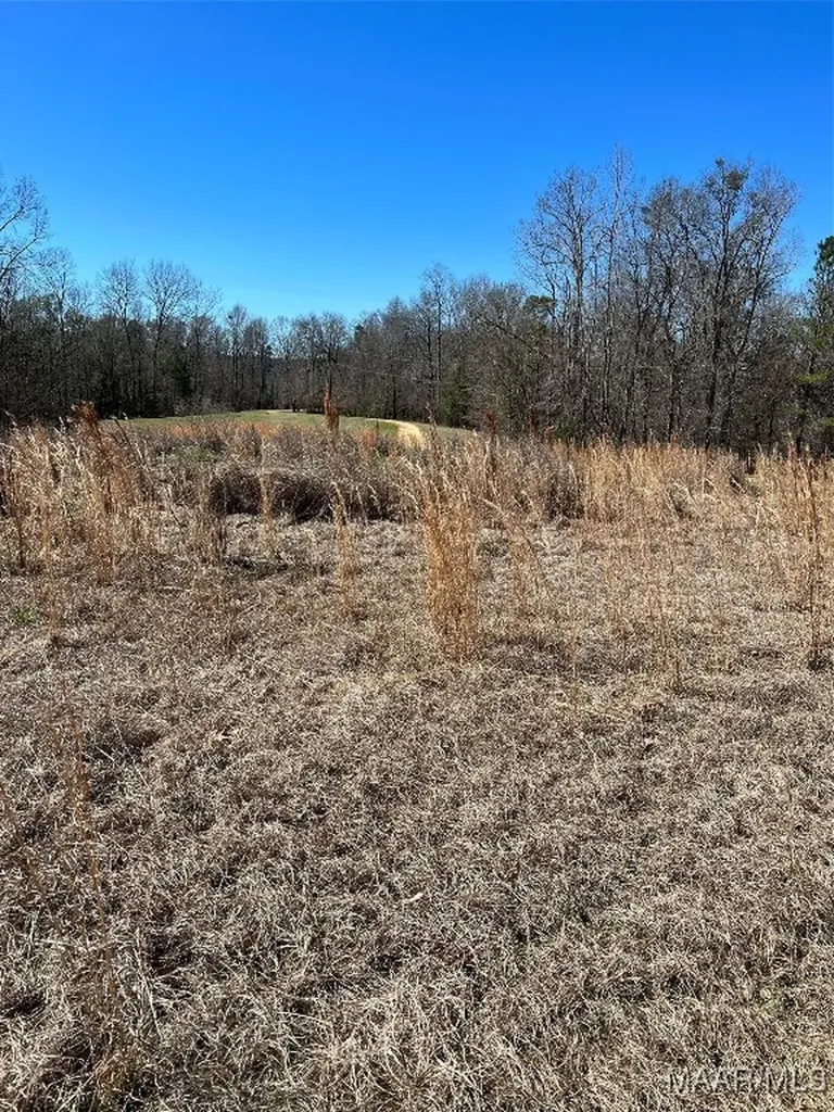 49 Legacy Shores Camden AL 36720