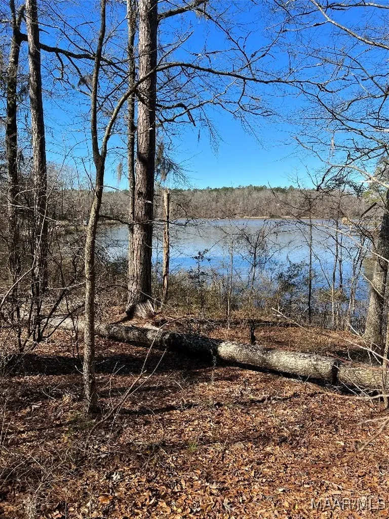 38 Legacy Shores Camden AL 36720