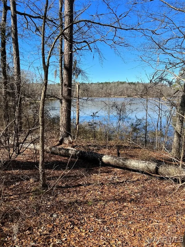 38 Legacy Shores Camden AL 36720