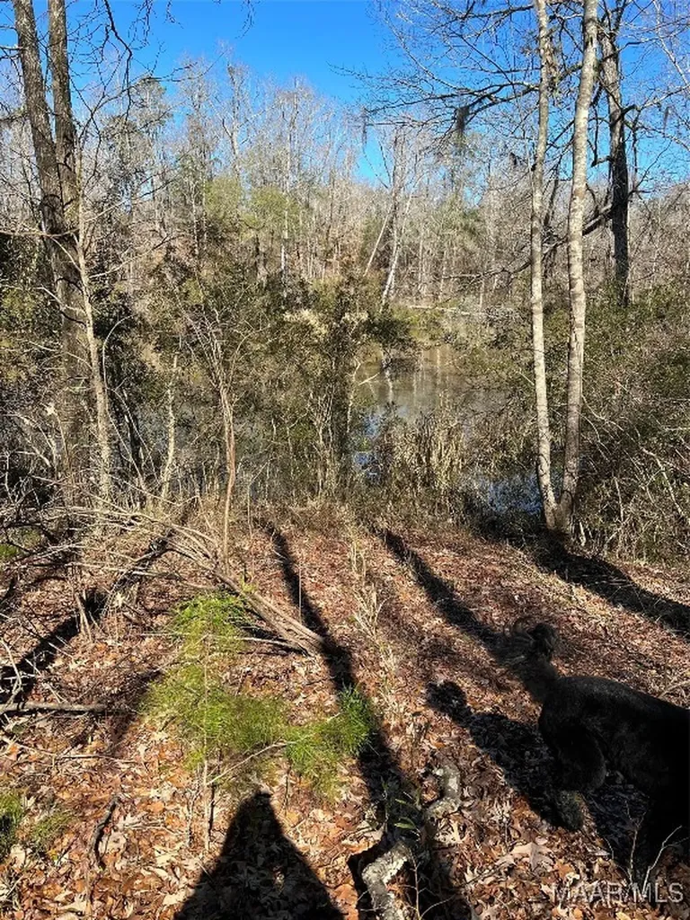 38 Legacy Shores Camden AL 36720