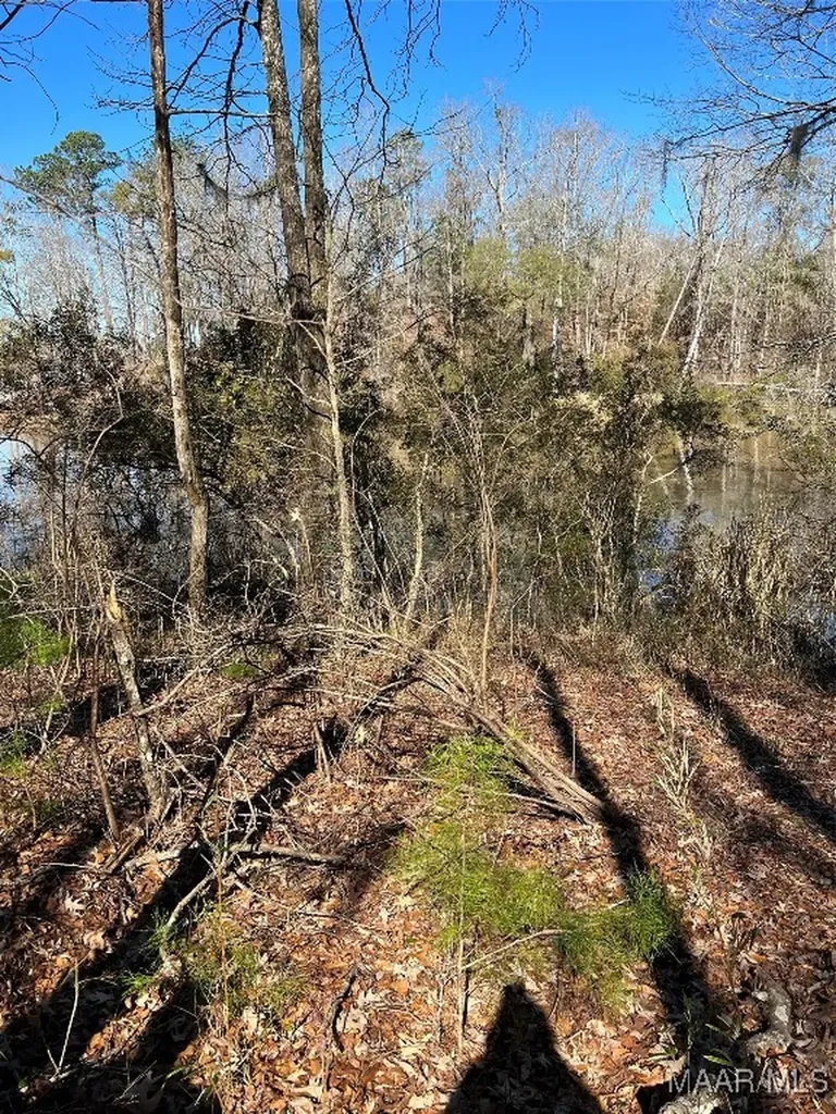 38 Legacy Shores Camden AL 36720