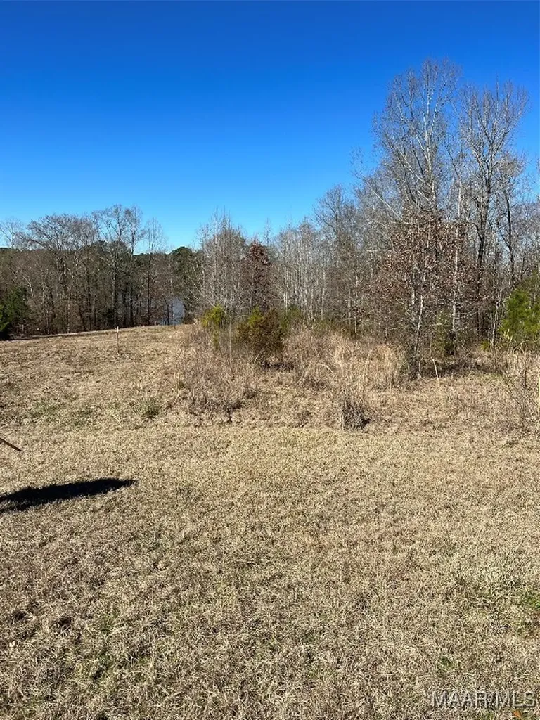 38 Legacy Shores Camden AL 36720