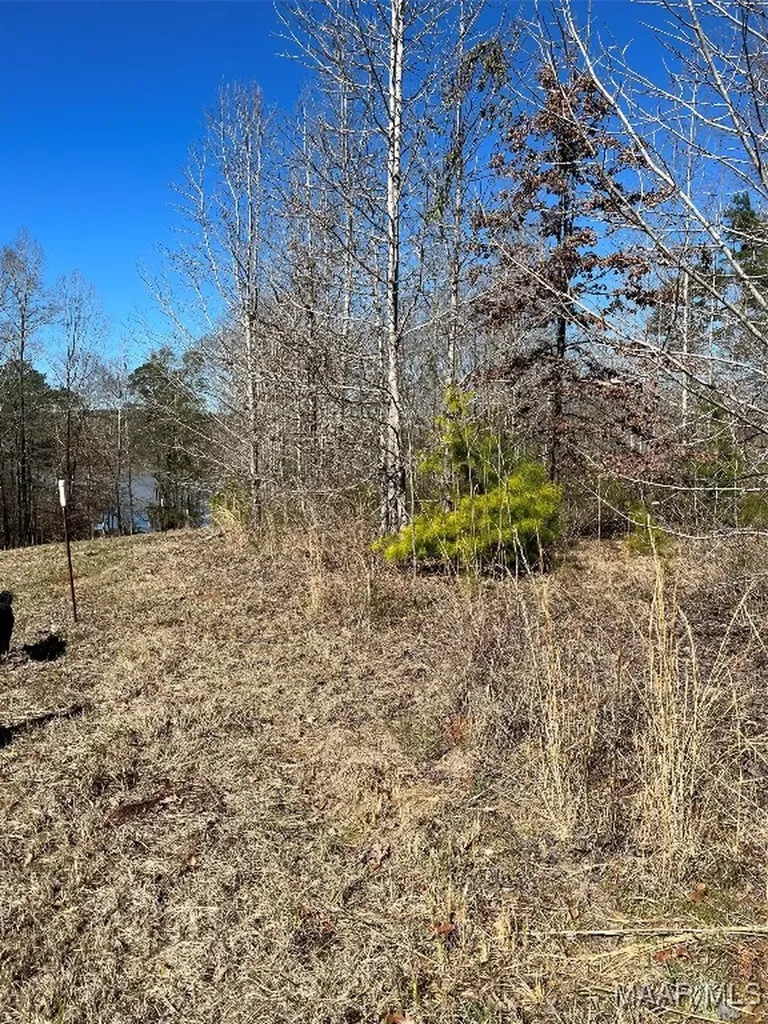 38 Legacy Shores Camden AL 36720