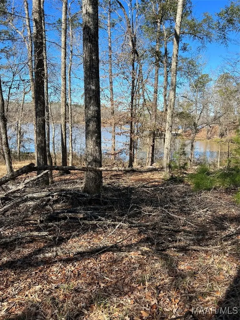 38 Legacy Shores Camden AL 36720