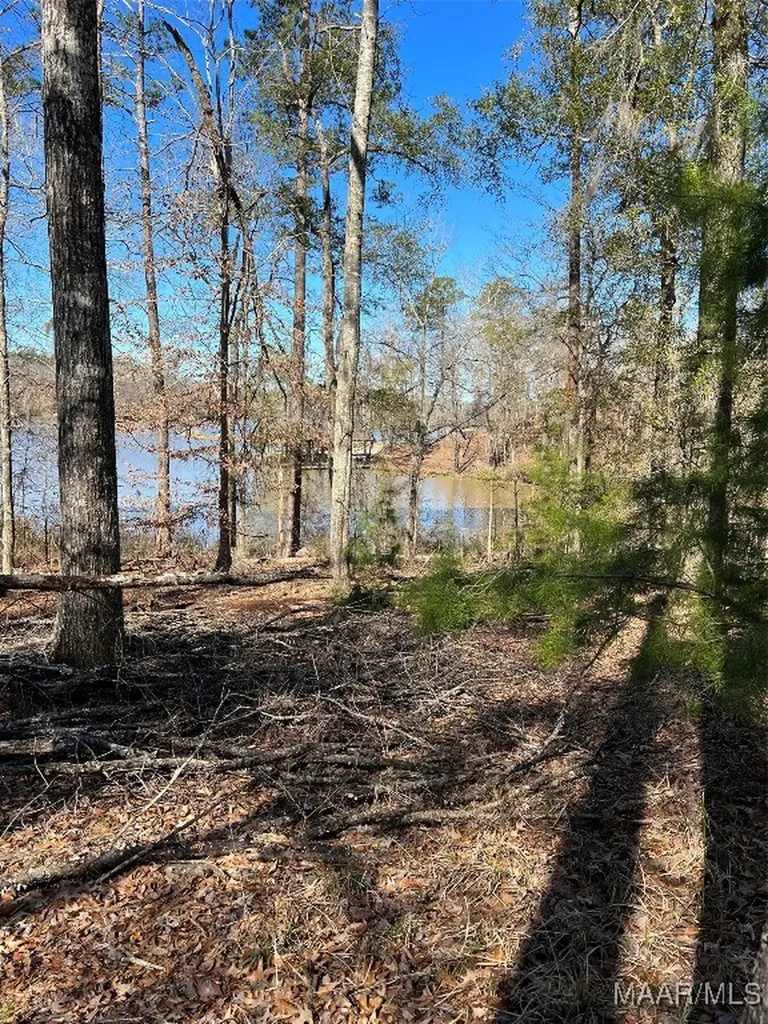 38 Legacy Shores Camden AL 36720