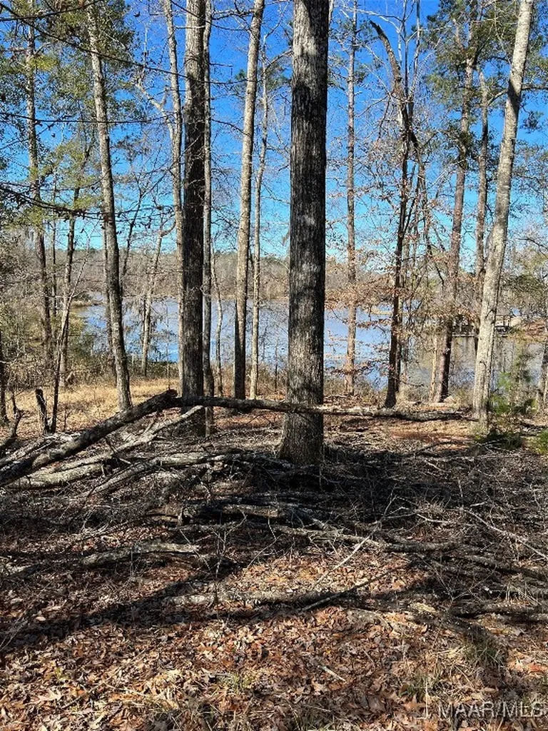 38 Legacy Shores Camden AL 36720