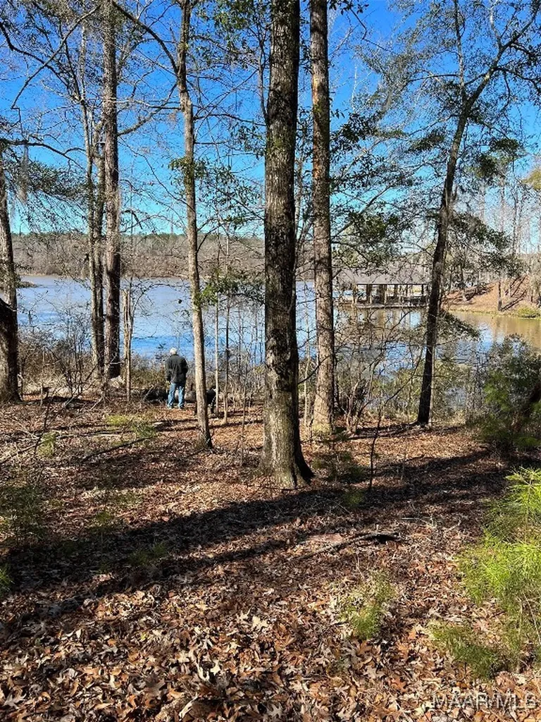 38 Legacy Shores Camden AL 36720