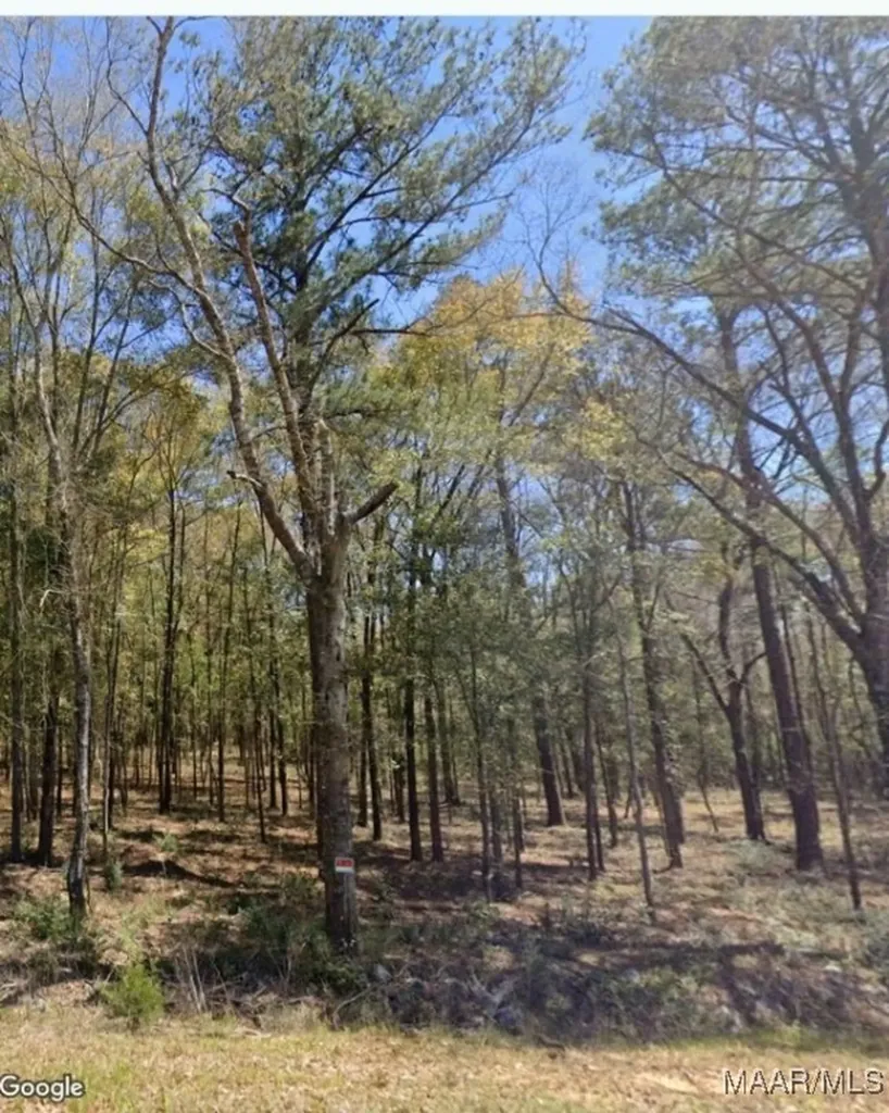 0 Ferrell Road Red Level AL 36421