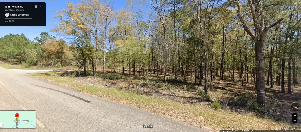 0 Ferrell Road Red Level AL 36421