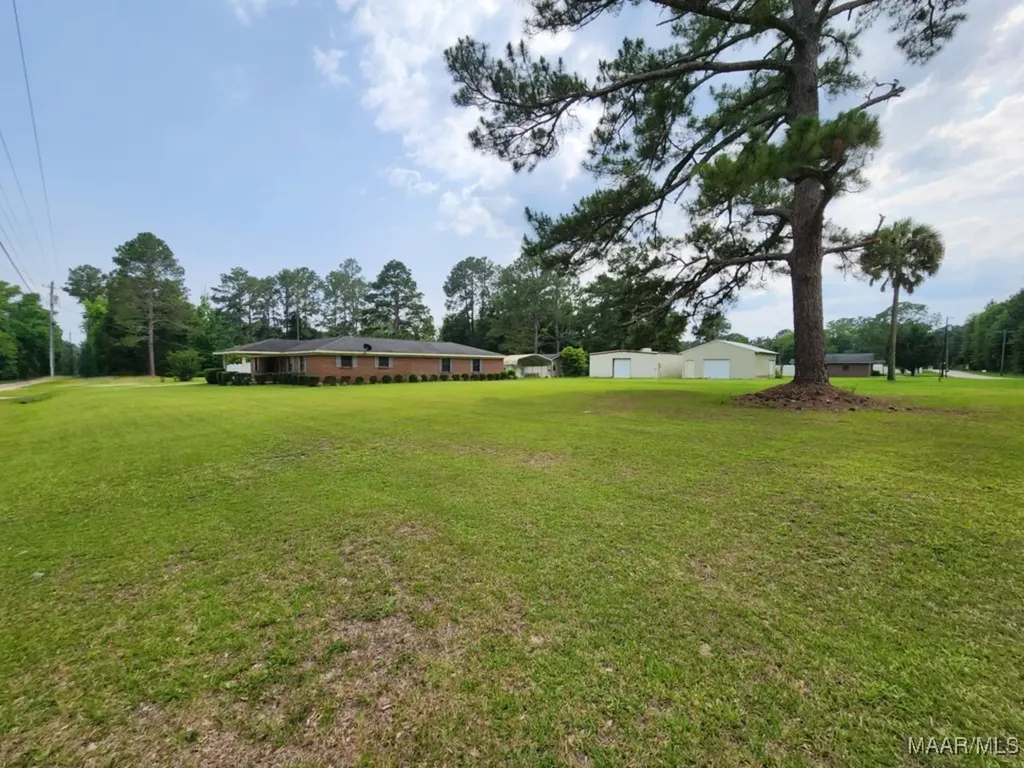 967 Lake Frankie Road Samson AL 36477