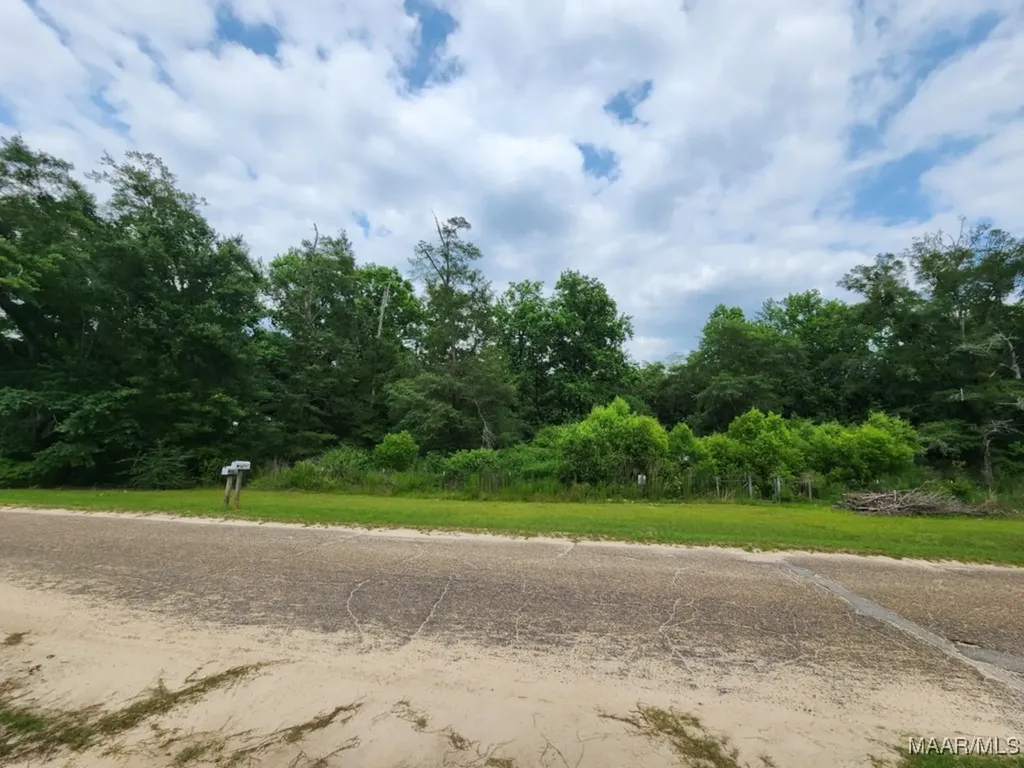 967 Lake Frankie Road Samson AL 36477