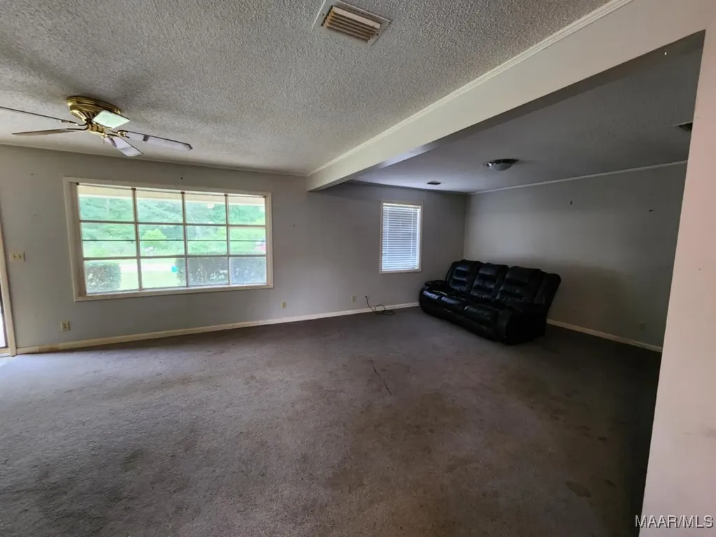 967 Lake Frankie Road Samson AL 36477