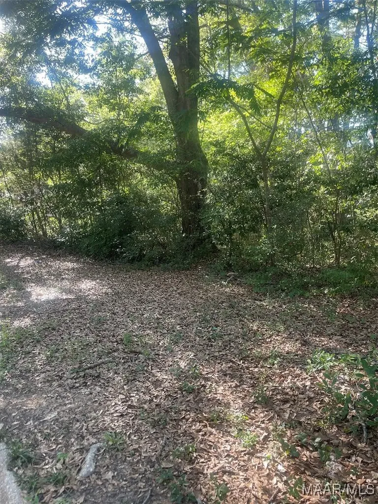 113 Weeks Drive Enterprise AL 36330