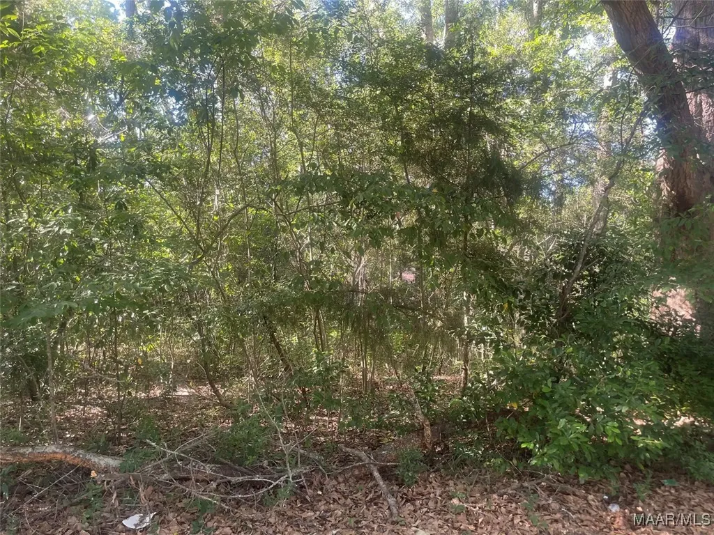 113 Weeks Drive Enterprise AL 36330