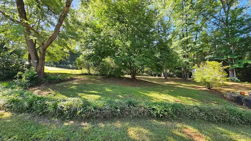 386 Stonebridge Lane Ozark AL 36360