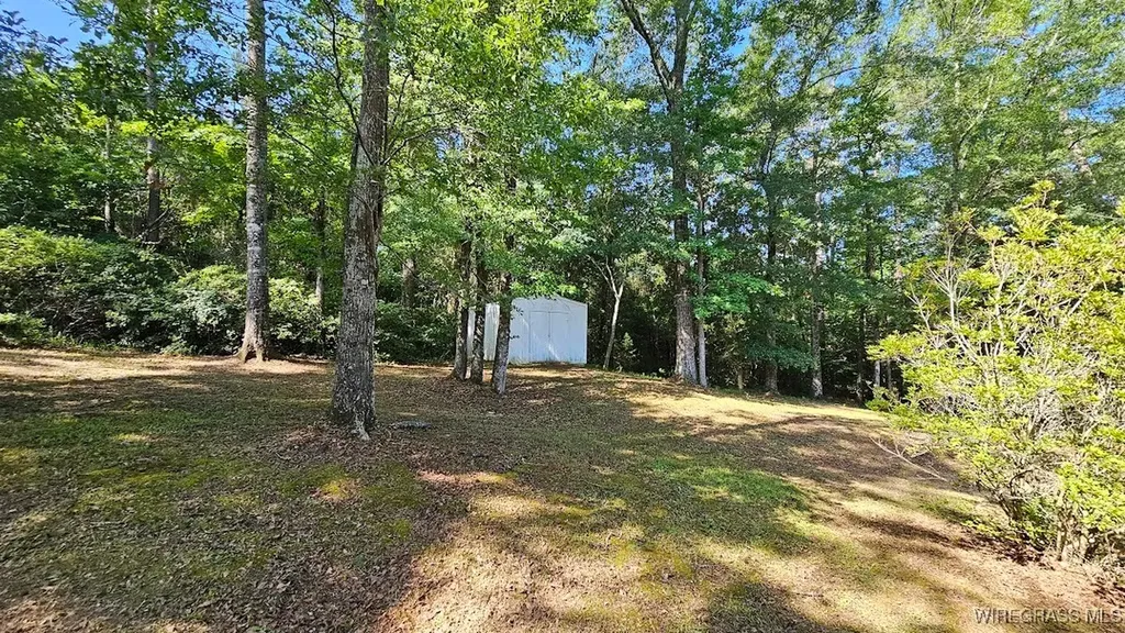 386 Stonebridge Lane Ozark AL 36360