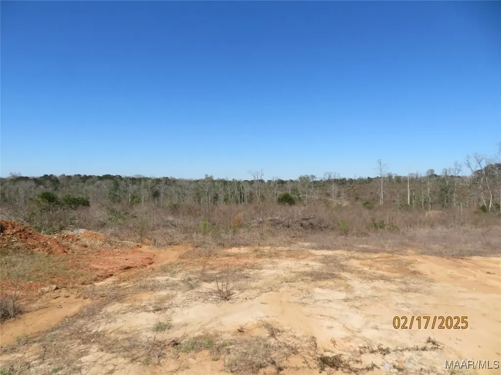 0 Old Salem Road Enterprise AL 36330