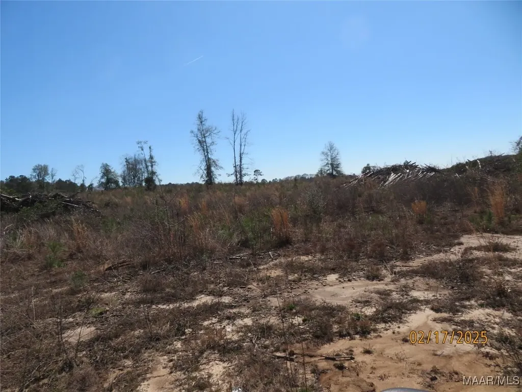 0 Old Salem Road Enterprise AL 36330