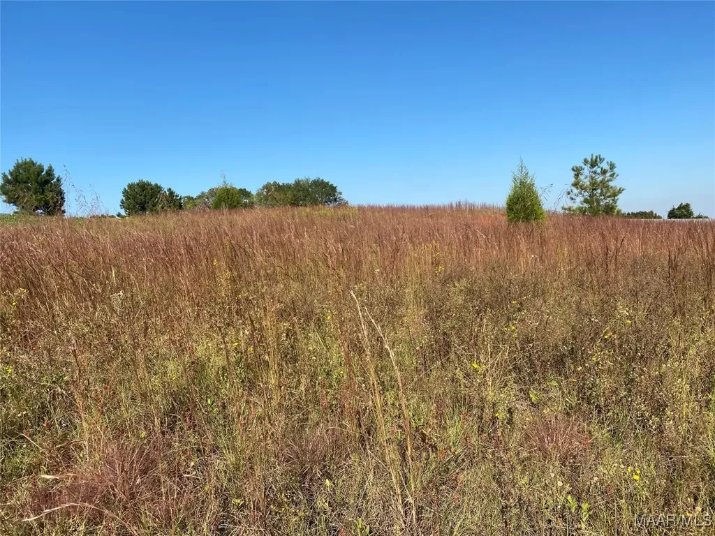 0 County Road 537 Road New Brockton AL 36330