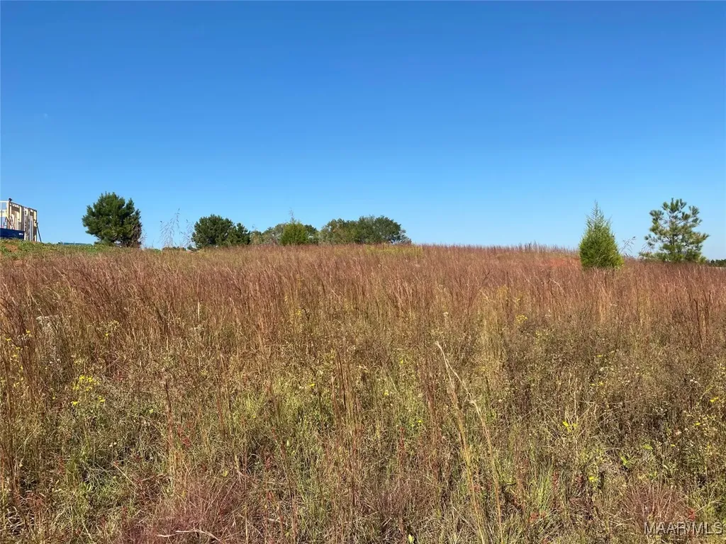 0 County Road 537 Road New Brockton AL 36330