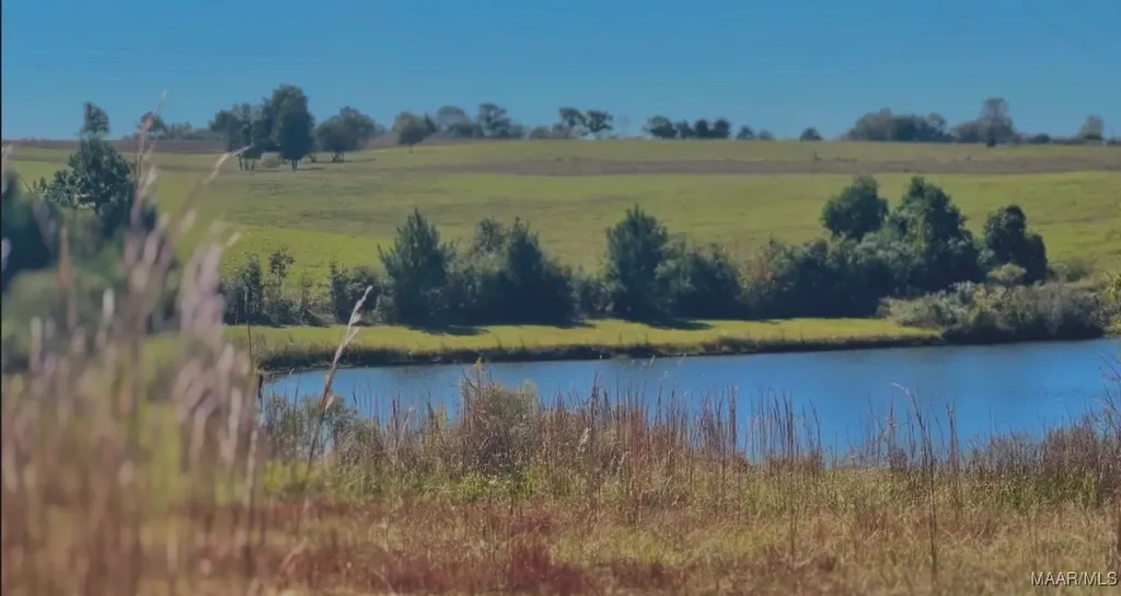 0 Culpepper Road Coffee Springs AL 36318