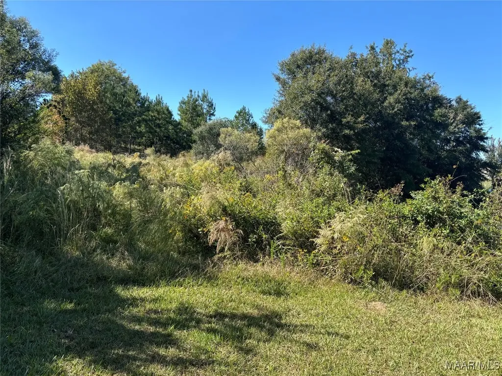 0 Culpepper Road Coffee Springs AL 36318