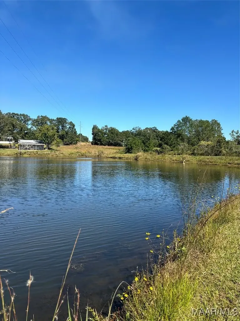 0 Culpepper Road Coffee Springs AL 36318