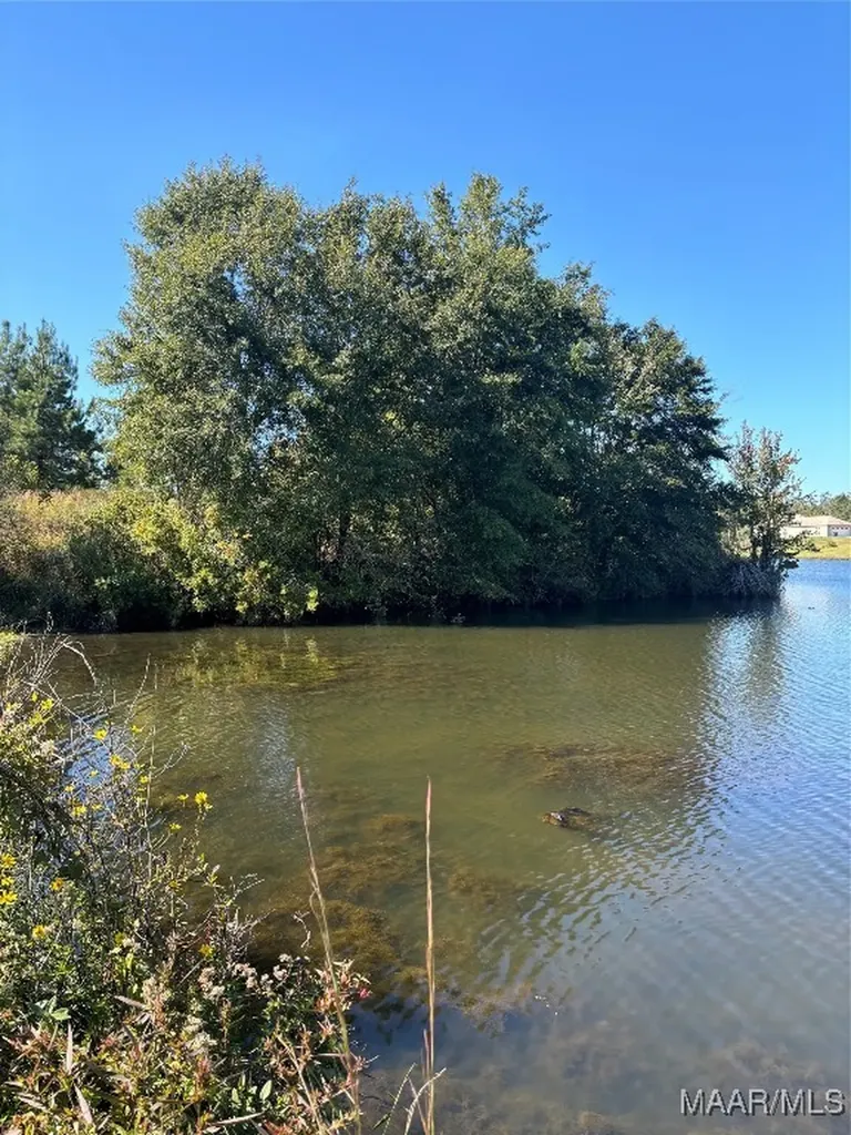 0 Culpepper Road Coffee Springs AL 36318