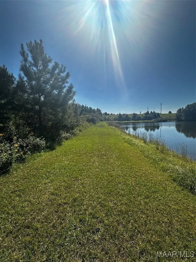 0 Culpepper Road Coffee Springs AL 36318