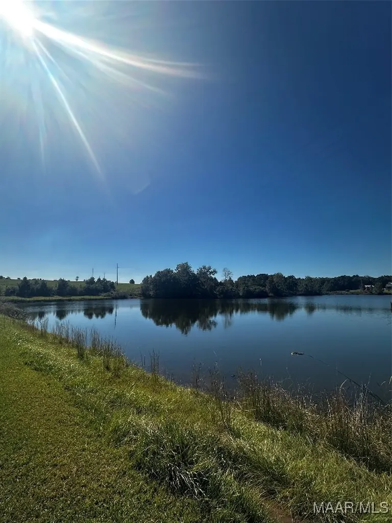 0 Culpepper Road Coffee Springs AL 36318