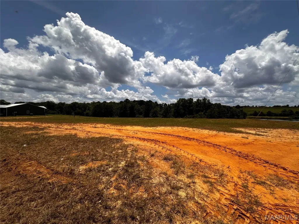 0 Culpepper Road Coffee Springs AL 36318