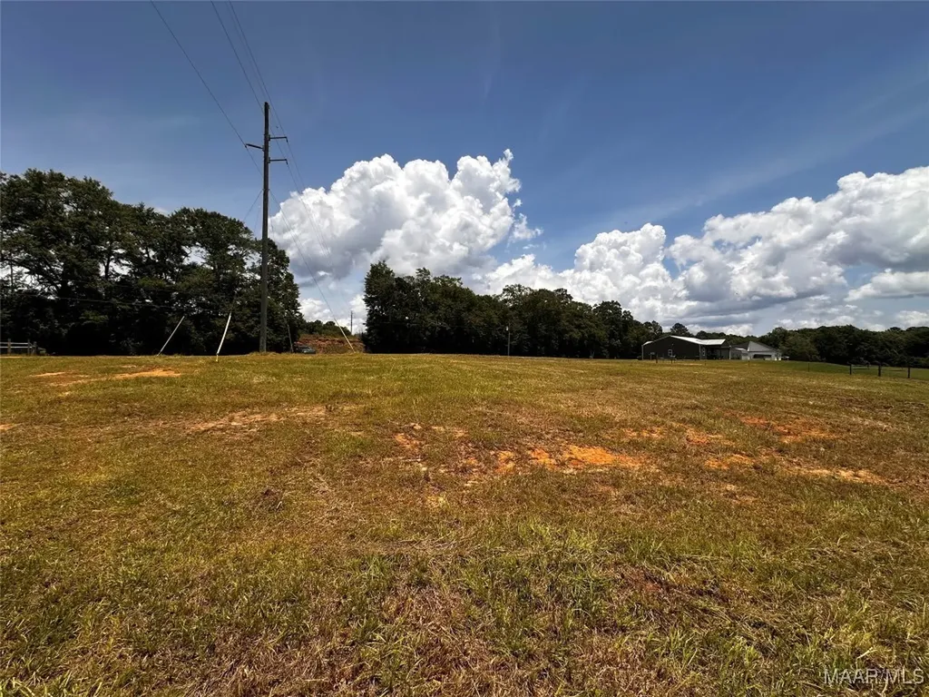 0 Culpepper Road Coffee Springs AL 36318