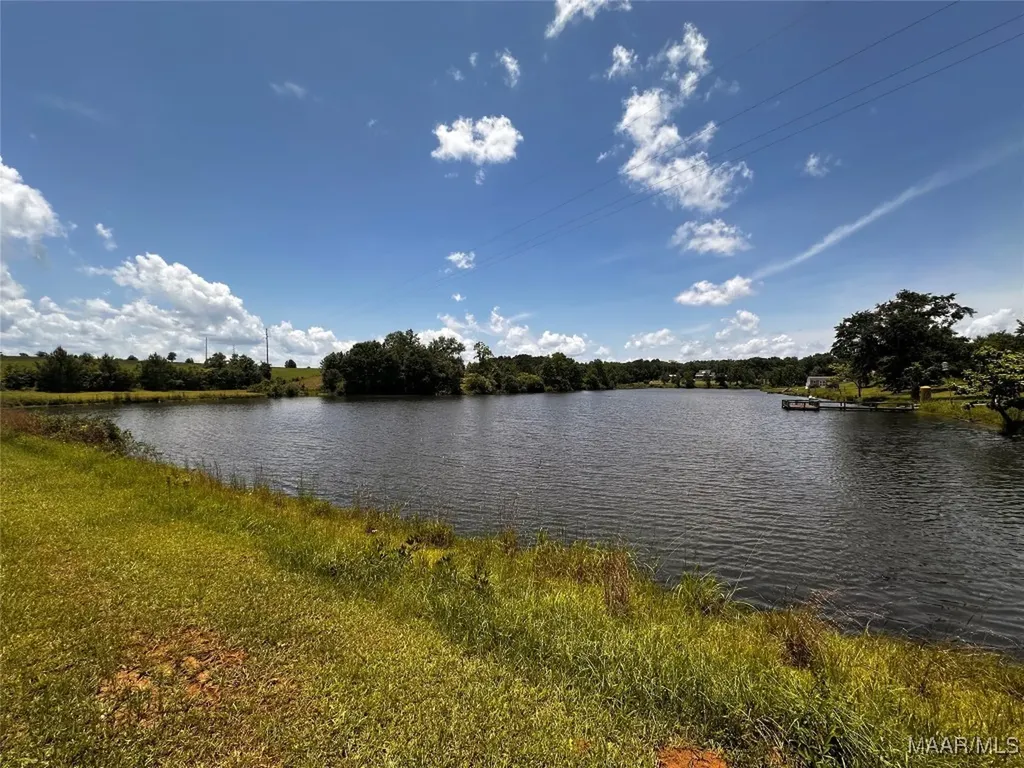 0 Culpepper Road Coffee Springs AL 36318