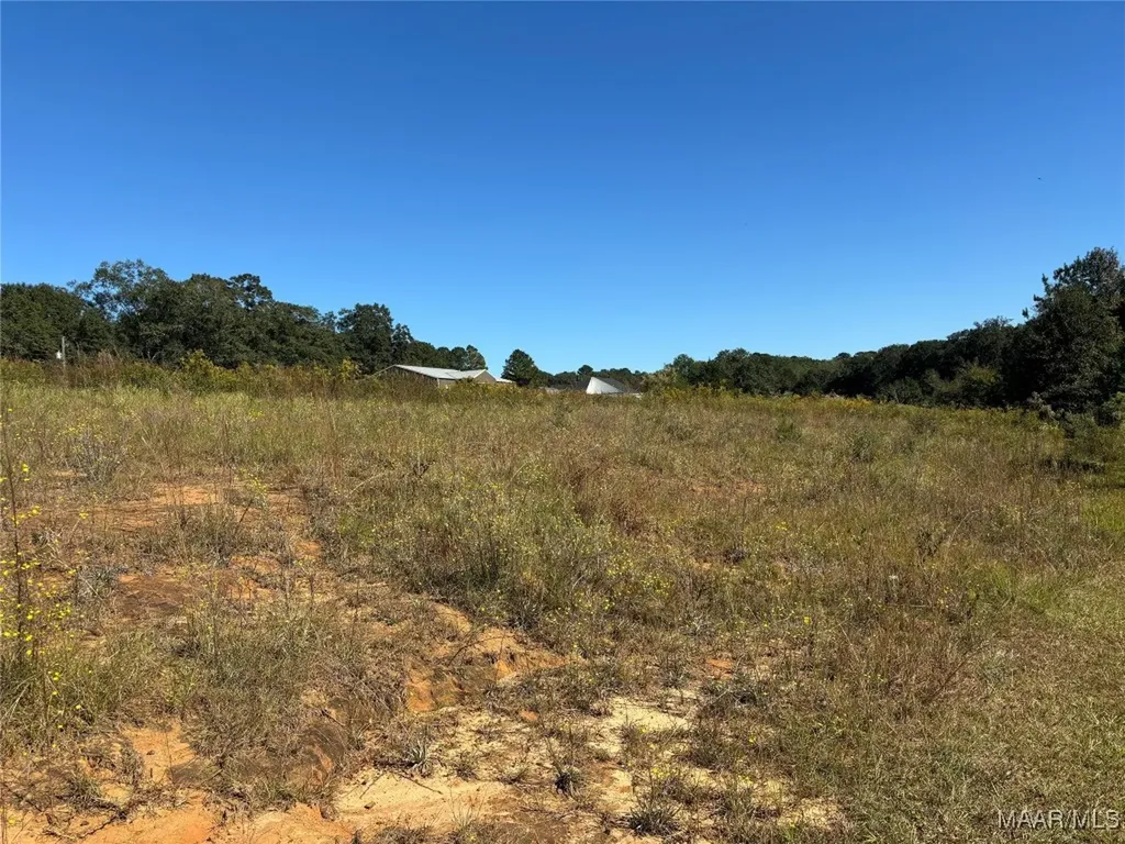 0 Culpepper Road Coffee Springs AL 36318