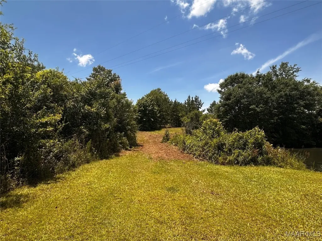 0 Culpepper Road Coffee Springs AL 36318