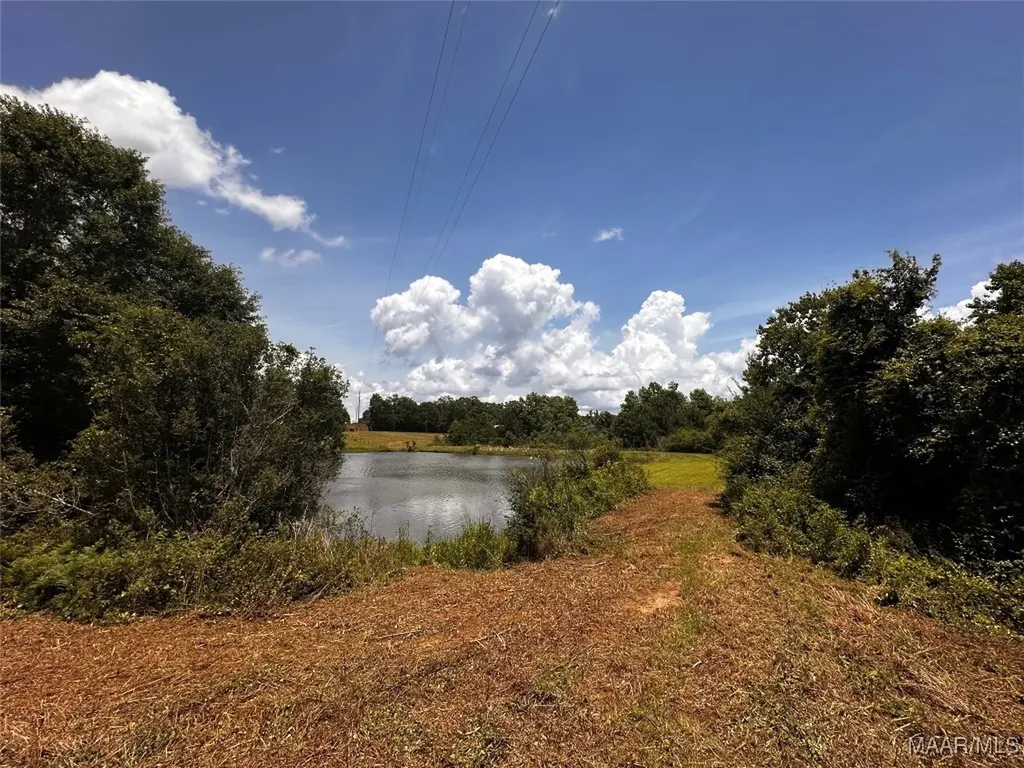 0 Culpepper Road Coffee Springs AL 36318