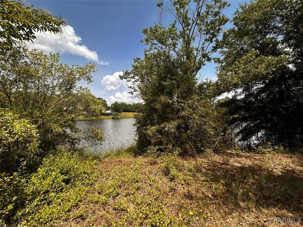 0 Culpepper Road Coffee Springs AL 36318