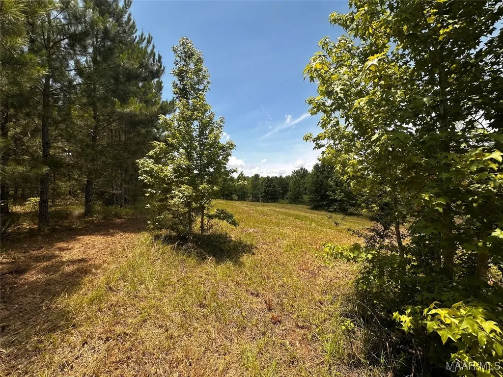 0 Culpepper Road Coffee Springs AL 36318