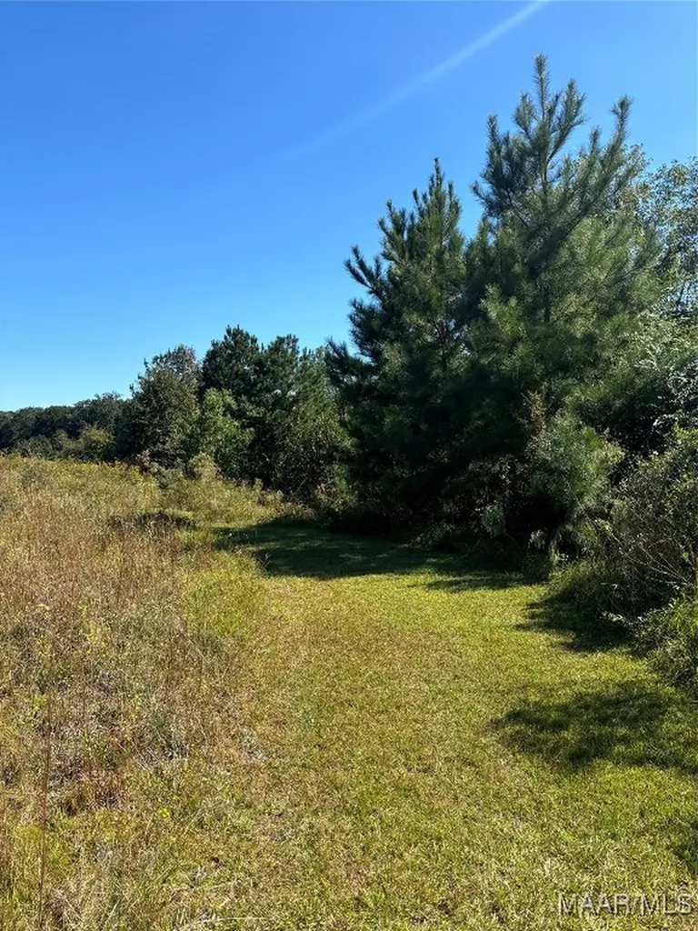 0 Culpepper Road Coffee Springs AL 36318